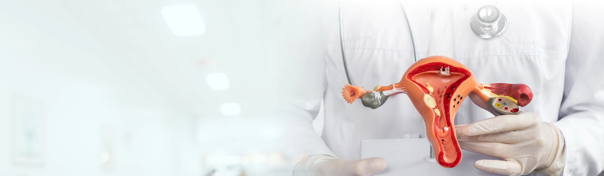 best gynecologist in Kolkata